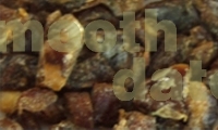 Pouch of Mountain Trails Apple & Sultana Porridge